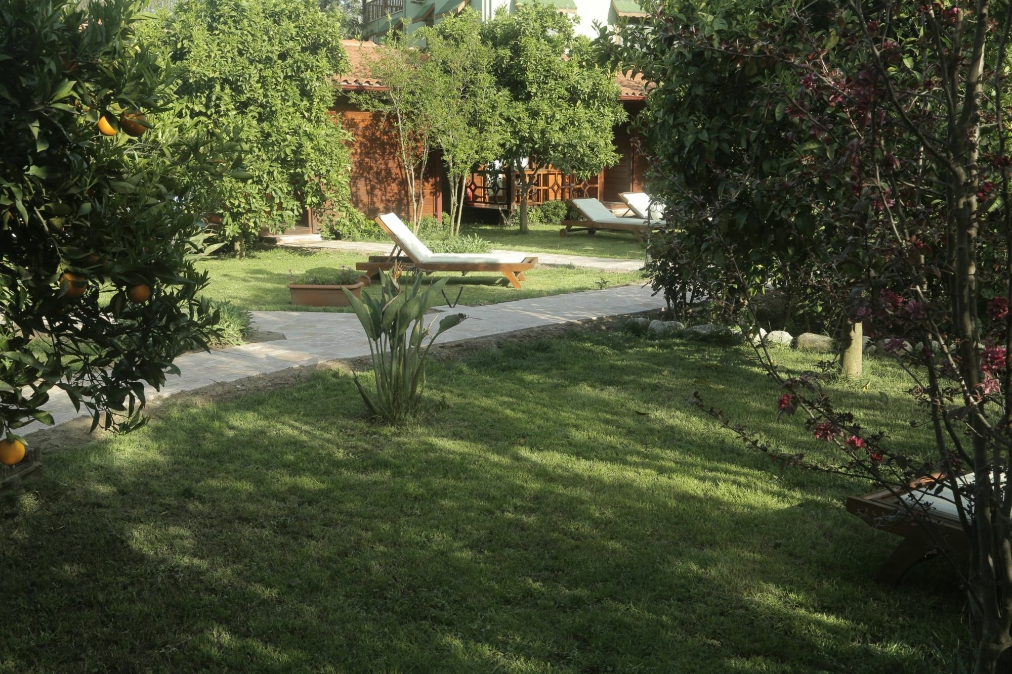 Aida Hotel Чирали Екстер'єр фото